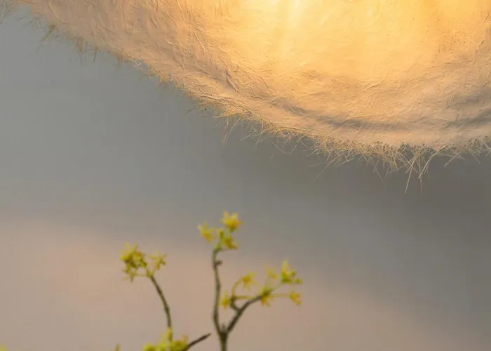 Ciao Borshi Boutique 4*